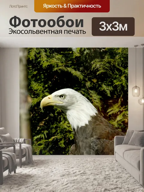 Фотообои Американский белоголовый орлан