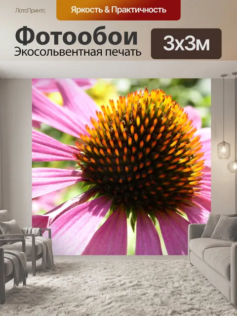 Фотообои Крупным планом фиолетовый цветок