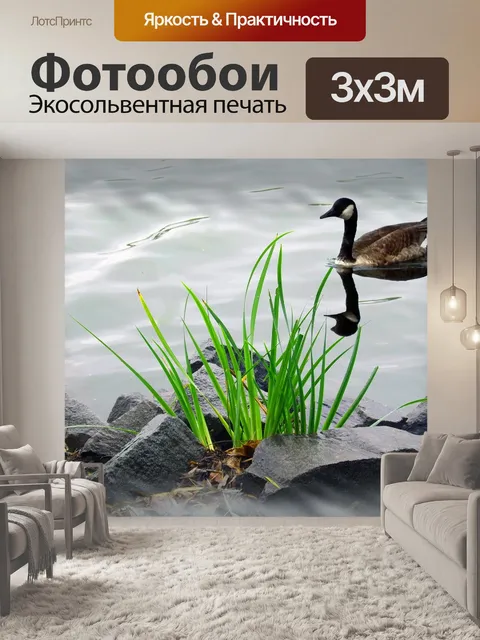 Фотообои Мечтательный