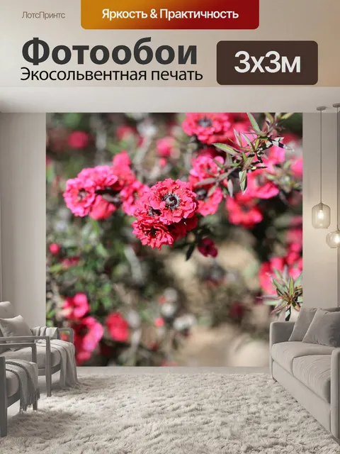 Фотообои Розовый жемчуг манука чайное дерево