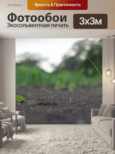 Фотообои Трава