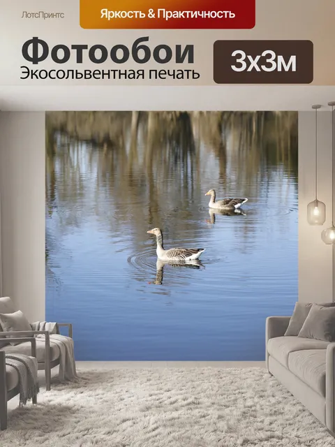 Фотообои Гуси