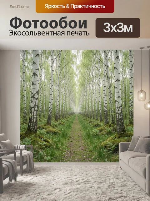 Фотообои Березовая аллея в лесу