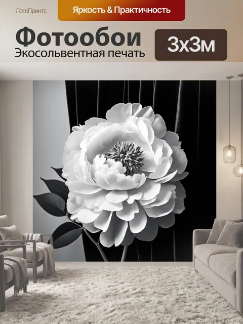 Фотообои пионы в черно-белом стиле