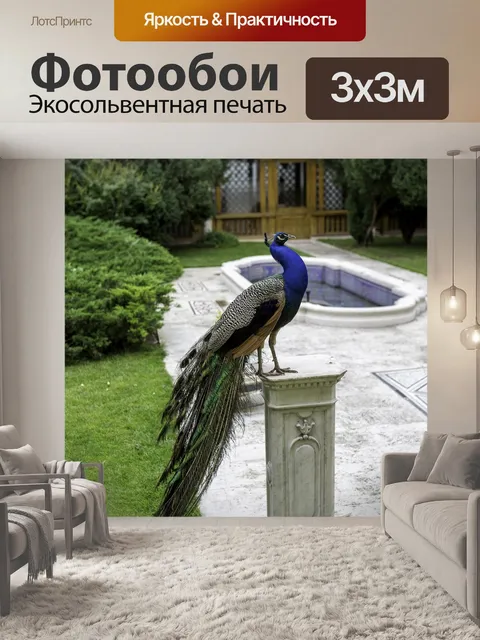 Фотообои Павлин