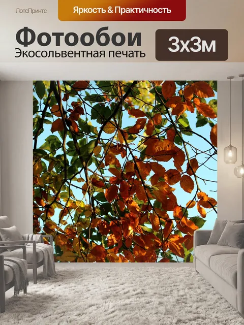 Фотообои Падение