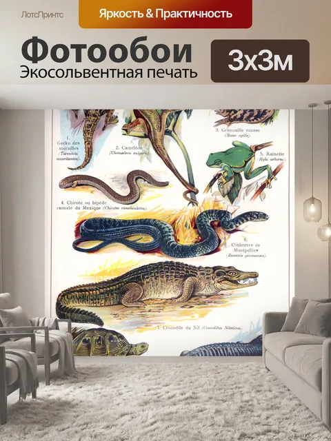 Фотообои Рептилии винтаж искусство старый