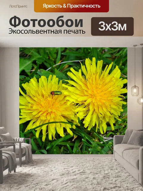 Фотообои Одуванчики