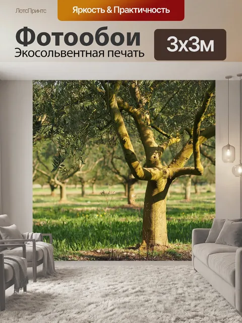 Фотообои Поля