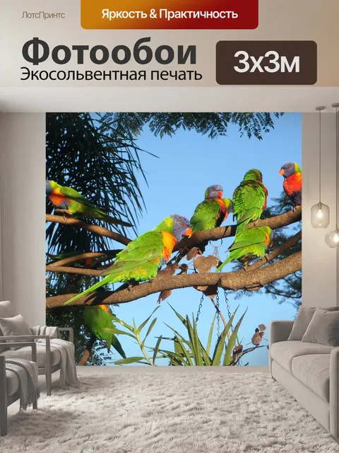 Фотообои Птицы