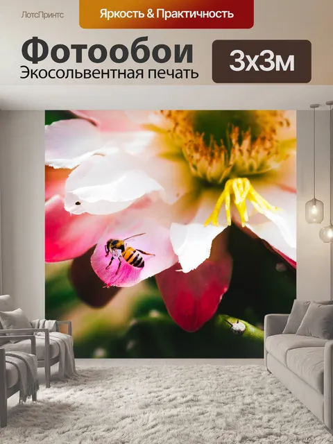 Фотообои Цветок