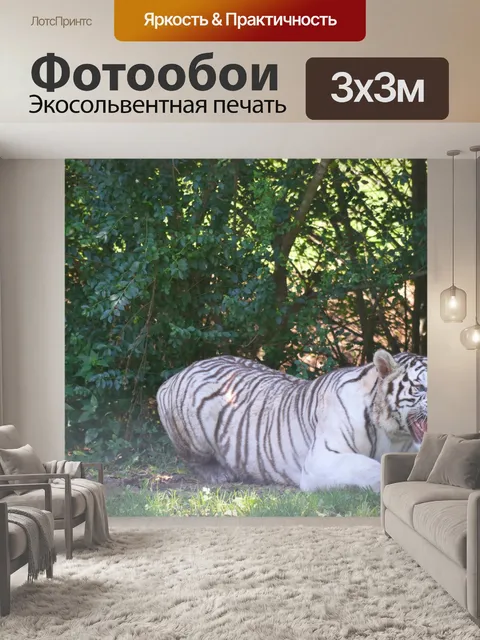 Фотообои Сибирский тигр