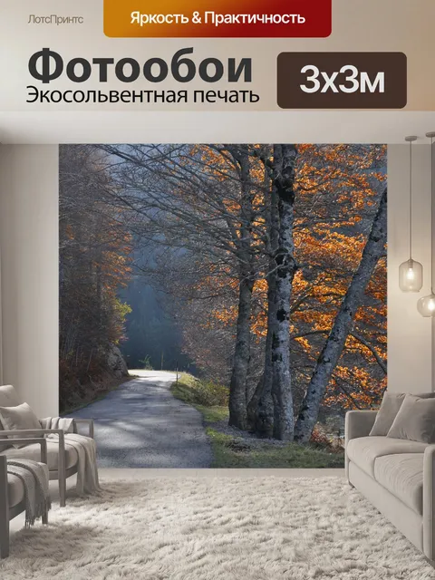 Фотообои Дорога