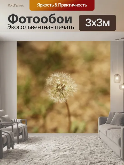 Фотообои Цветок