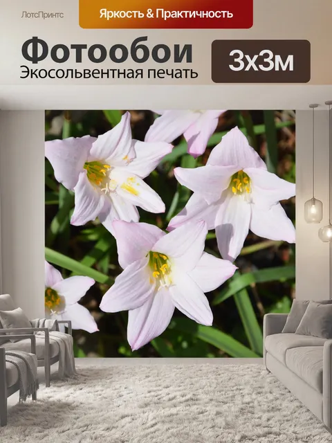 Фотообои Африке