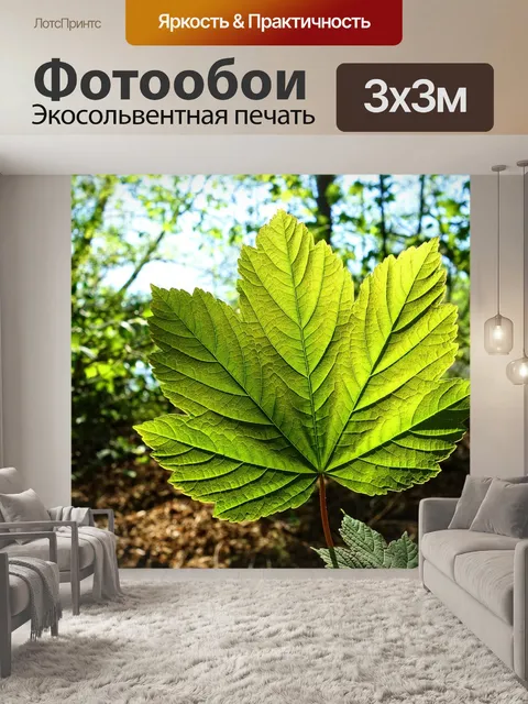 Фотообои Лист
