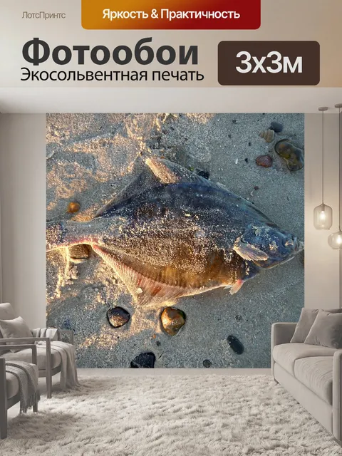 Фотообои Камбала