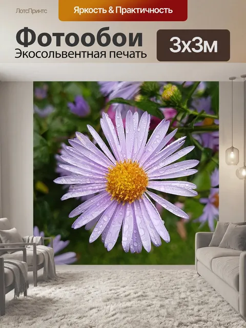 Фотообои Цветы