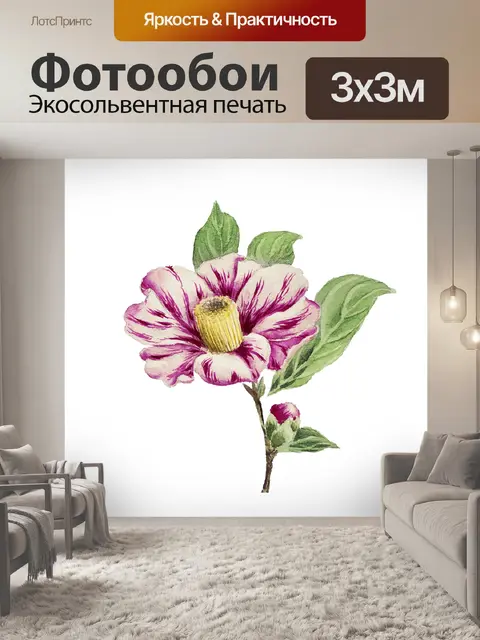 Фотообои Акварель цветок винтажный клипарт