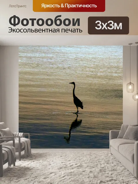 Фотообои Голубая цапля