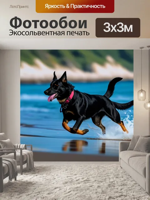 Фотообои собаки, бегущие вдоль берега