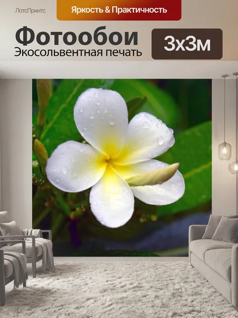 Фотообои Цветок пагоды