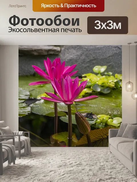 Фотообои Цветок пруд с лилиями