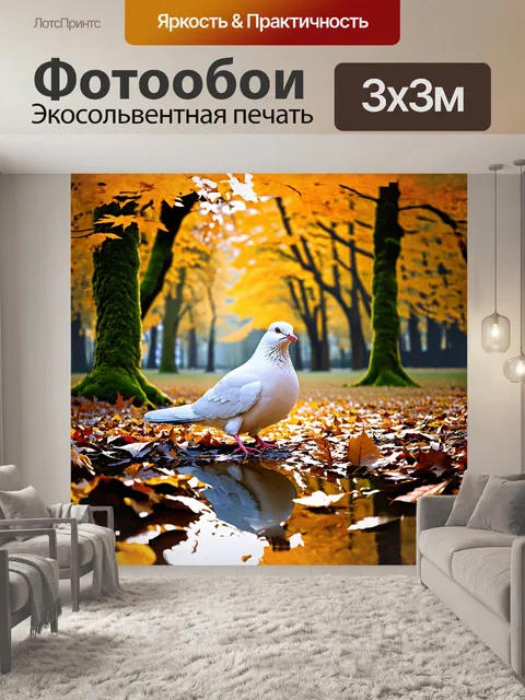 Фотообои белый голубь в центре уютного осеннего парка