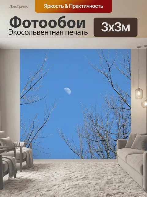 Фотообои Полумесяц в небе