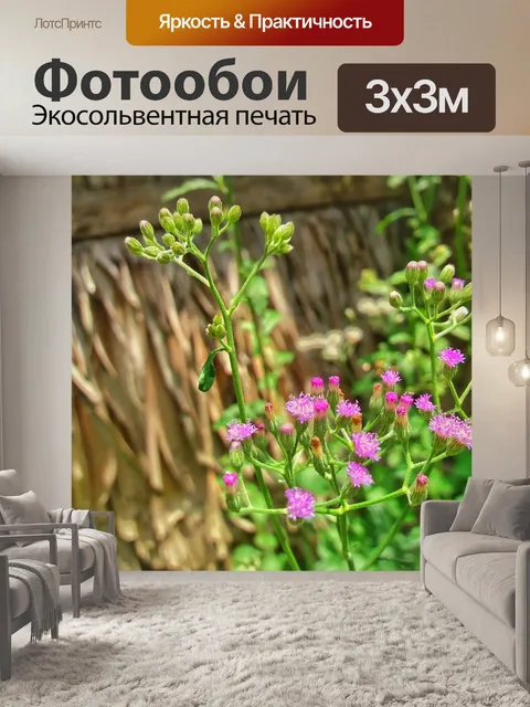 Фотообои Цветы
