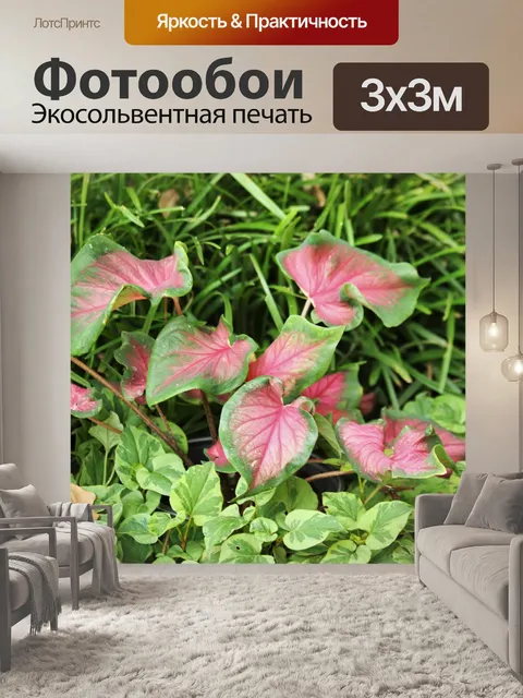 Фотообои Розовый и зеленый калади