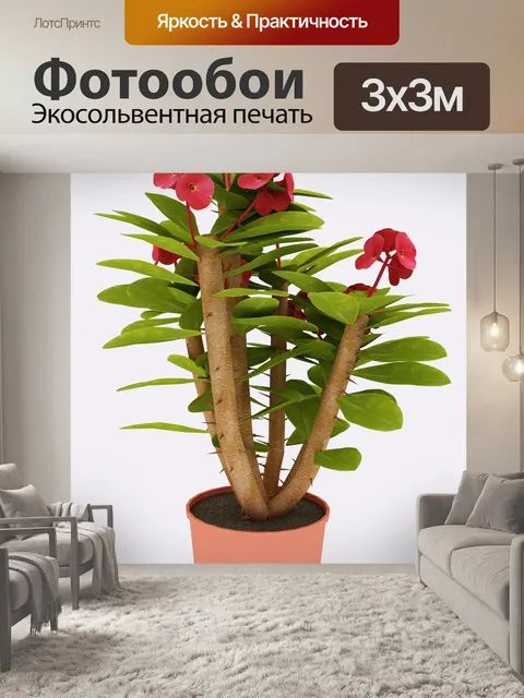 Фотообои Дерево