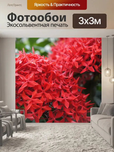Фотообои Маленькие красные цветы