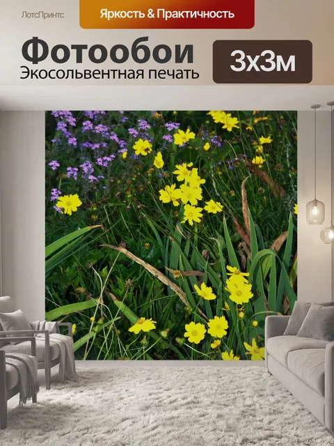 Фотообои Желтые ромашки в саду