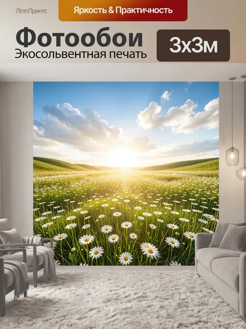 Фотообои Ромашковое поле на рассвете