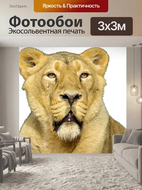 Фотообои Изолированные