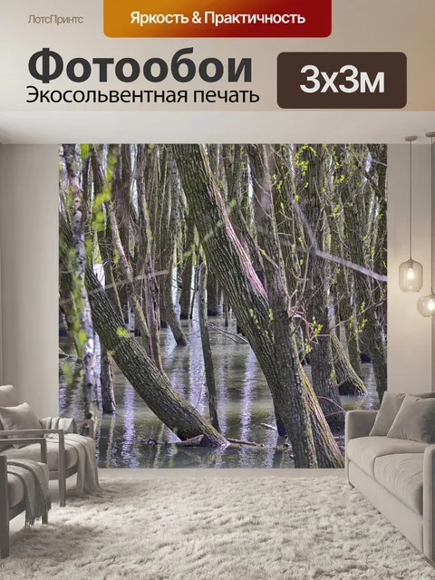 Фотообои Подающий надежды