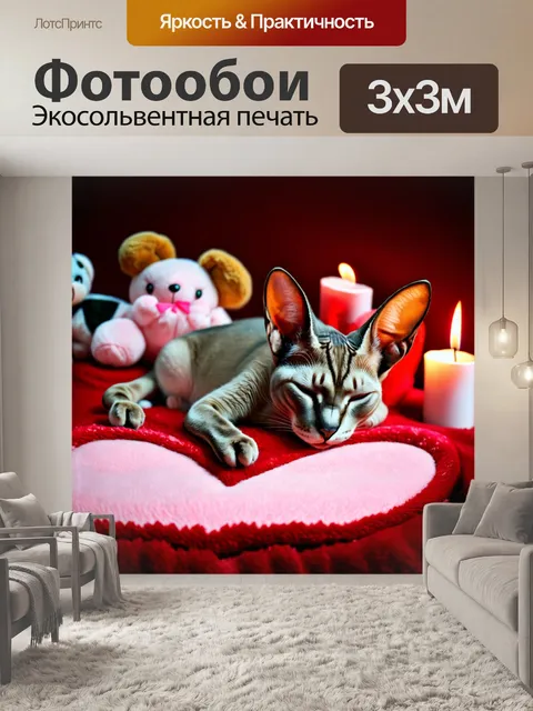 Фотообои ориентальная короткошерстная кошка