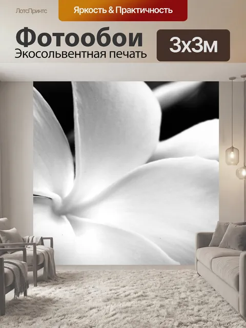 Фотообои черный и белый цветок