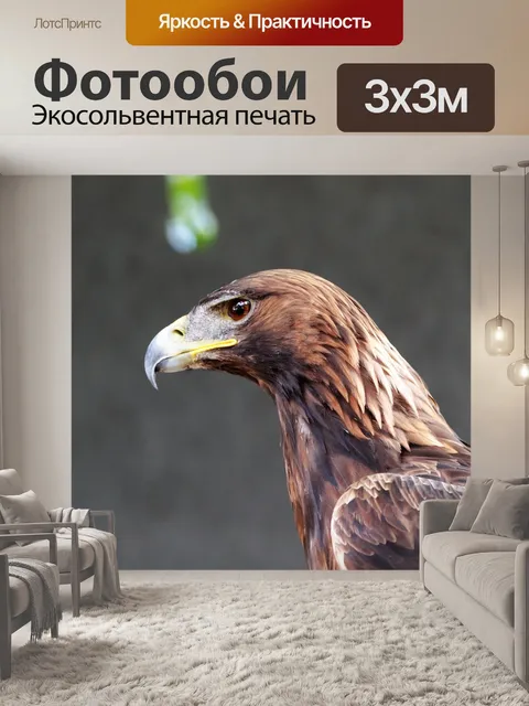 Фотообои Золотой орёл