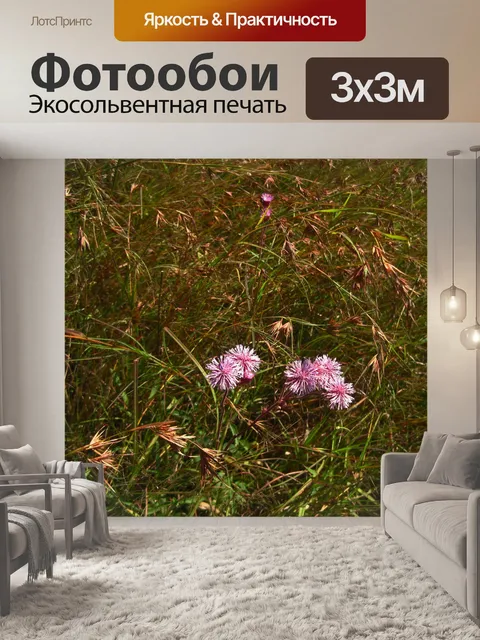 Фотообои розовый захватчик помпоны цветы