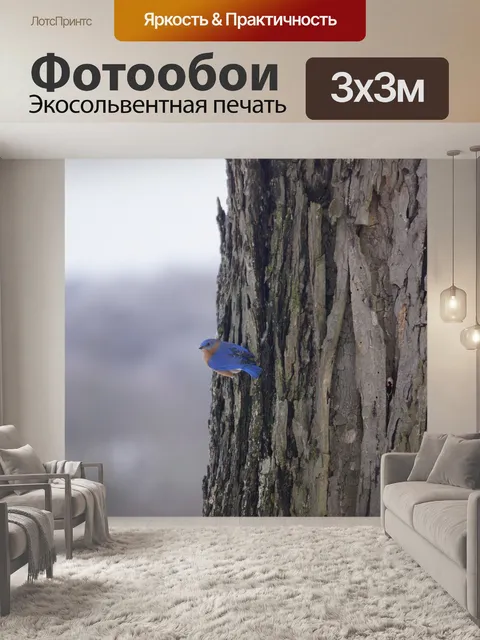 Фотообои Синяя птица