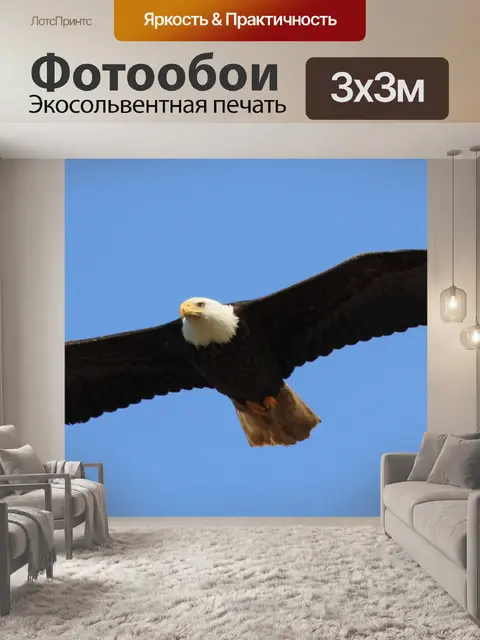 Фотообои орел