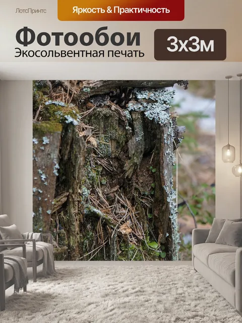 Фотообои Пень