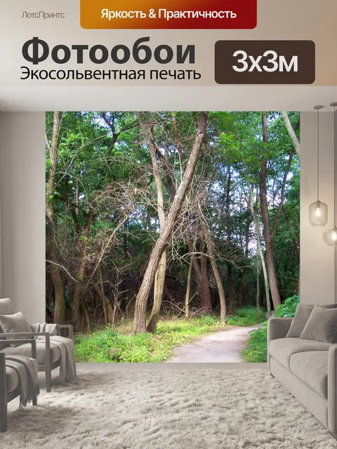 Фотообои Путь в лес