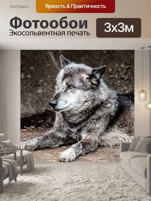 Фотообои Волк