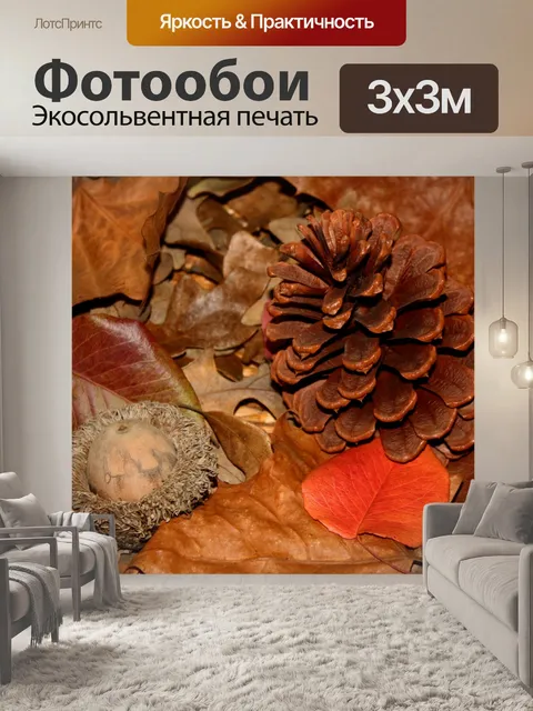 Фотообои Желудь и сосновый конус в листьях осени