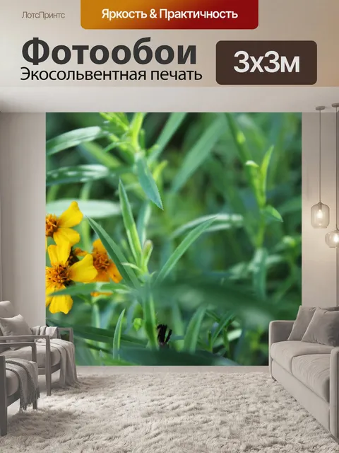 Фотообои желтые цветы скрывается на листьях