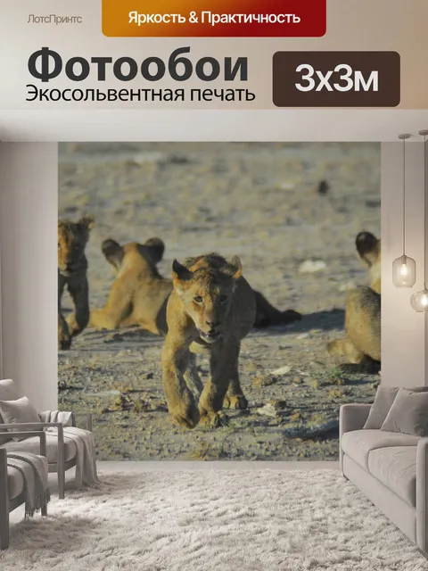 Фотообои Львята