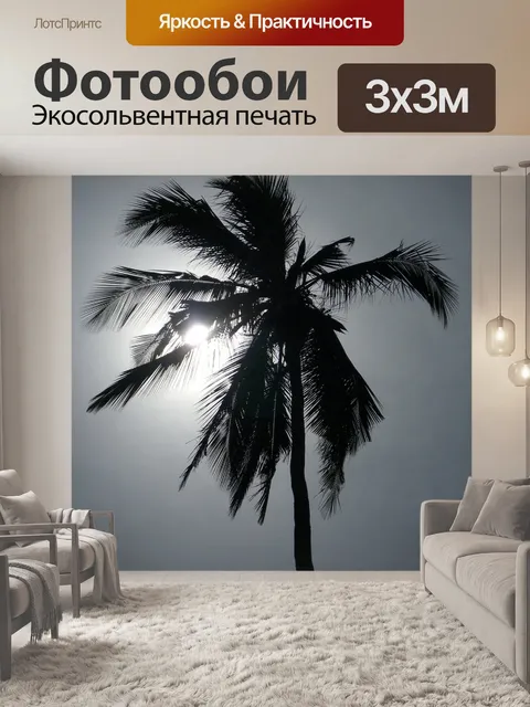Фотообои Пальма